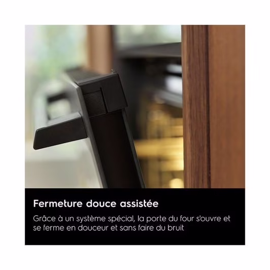 Four chaleur tournante ELECTROLUX EOF6P66BX